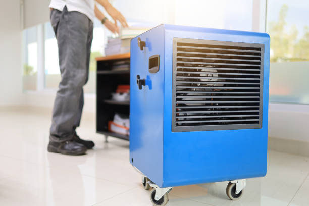 Best Post-Remediation Verification Testing  in East Porterville, CA