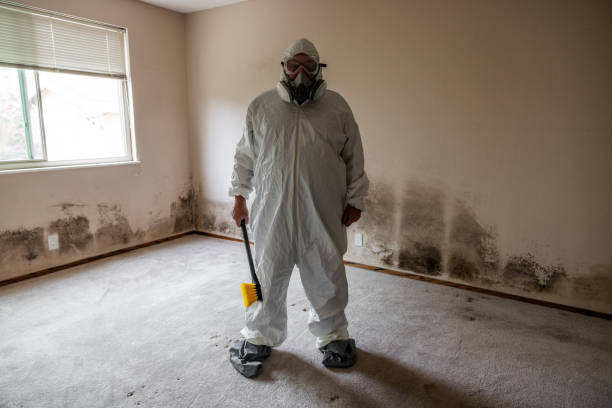 Mold Removal for HVAC Installations in East Porterville, CA