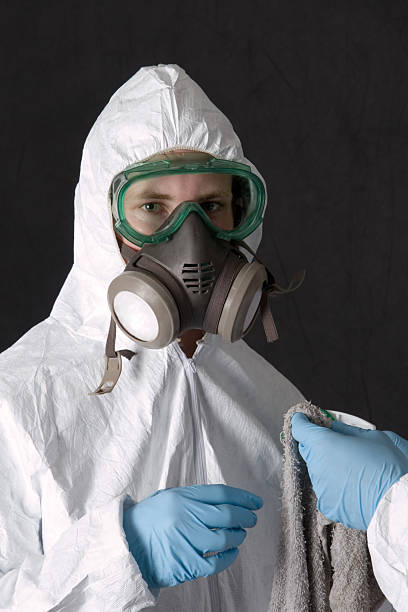 Best Emergency Mold Remediation  in East Porterville, CA